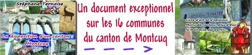 document canton de montcuq